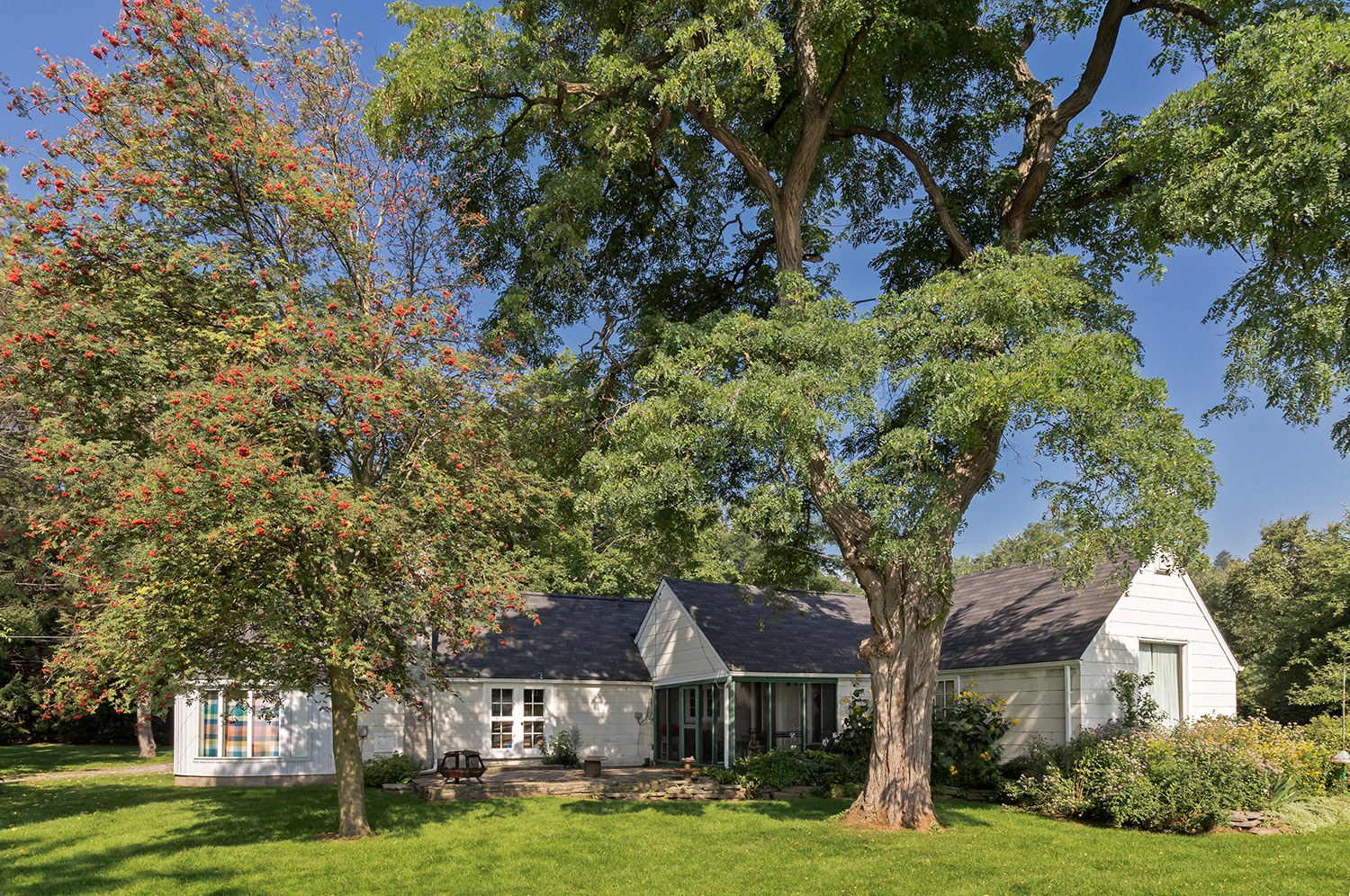 Fool’s Paradise (Photo: Tony Hafkensheid)