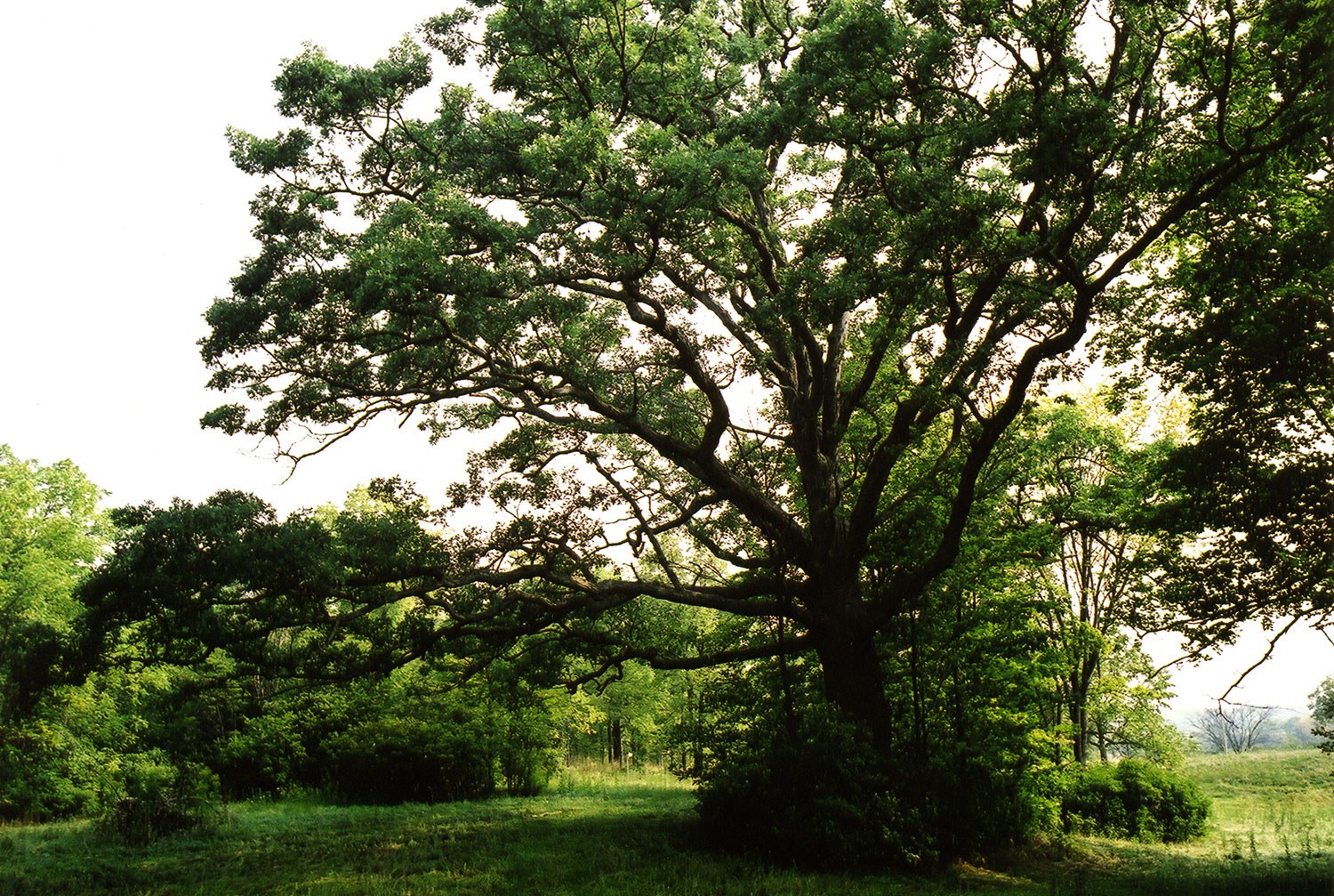 Natural heritage tour