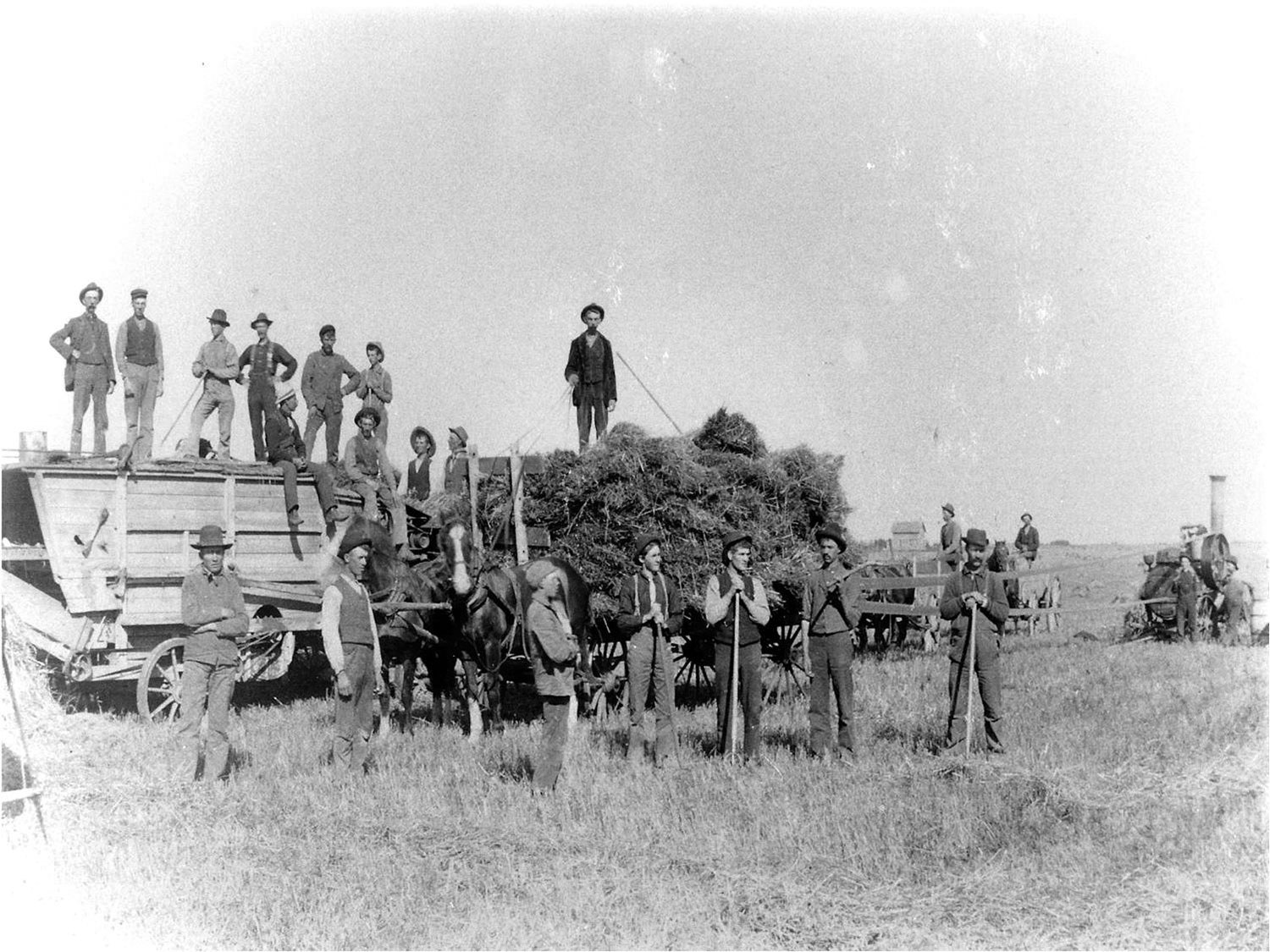 Loading straw to feed the threshing machine in Wellington County, c. 1900. (Ph 7436, Wellington County Museum and Archives)