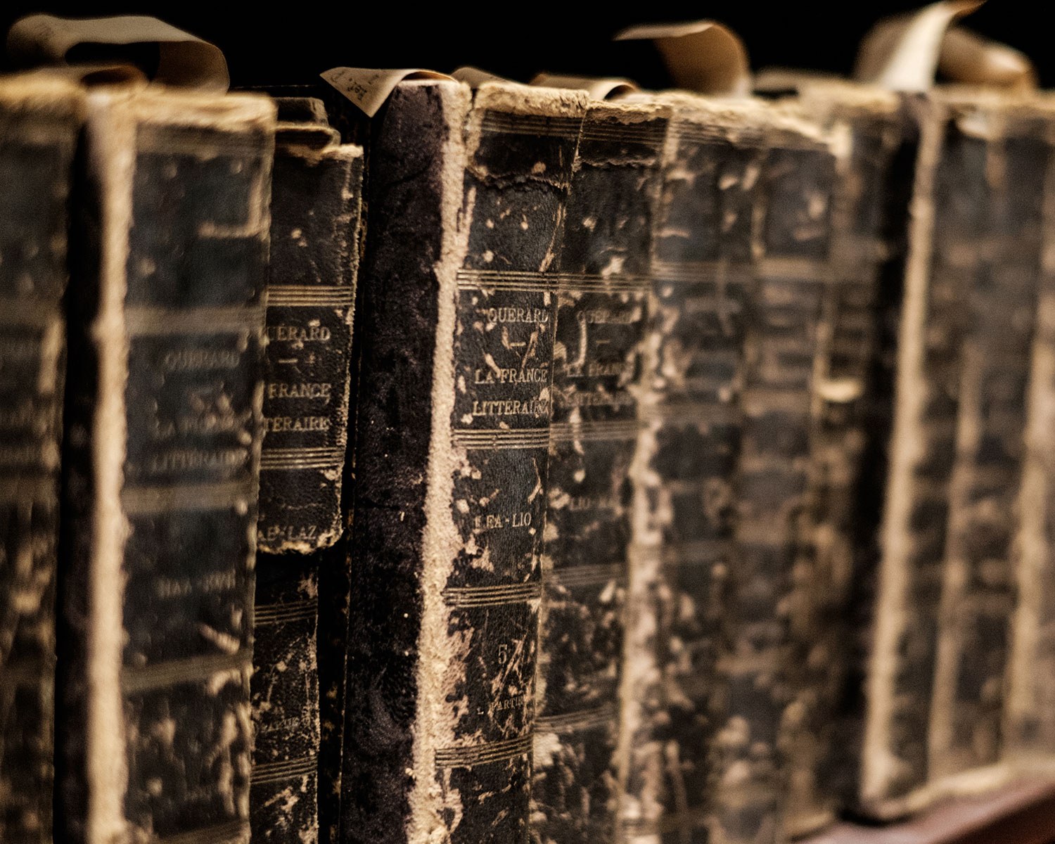 Old books, rare editions (Photo: Howard Yang)