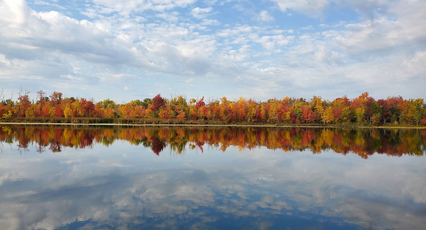 Appleton Swamp (part of the Gardiner, Grace and Neilson properties)