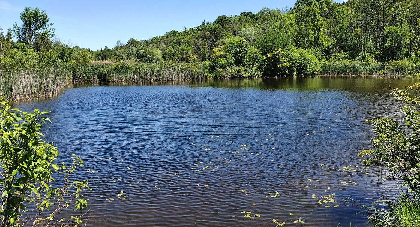 Yaremko-Ridley property, near Milton