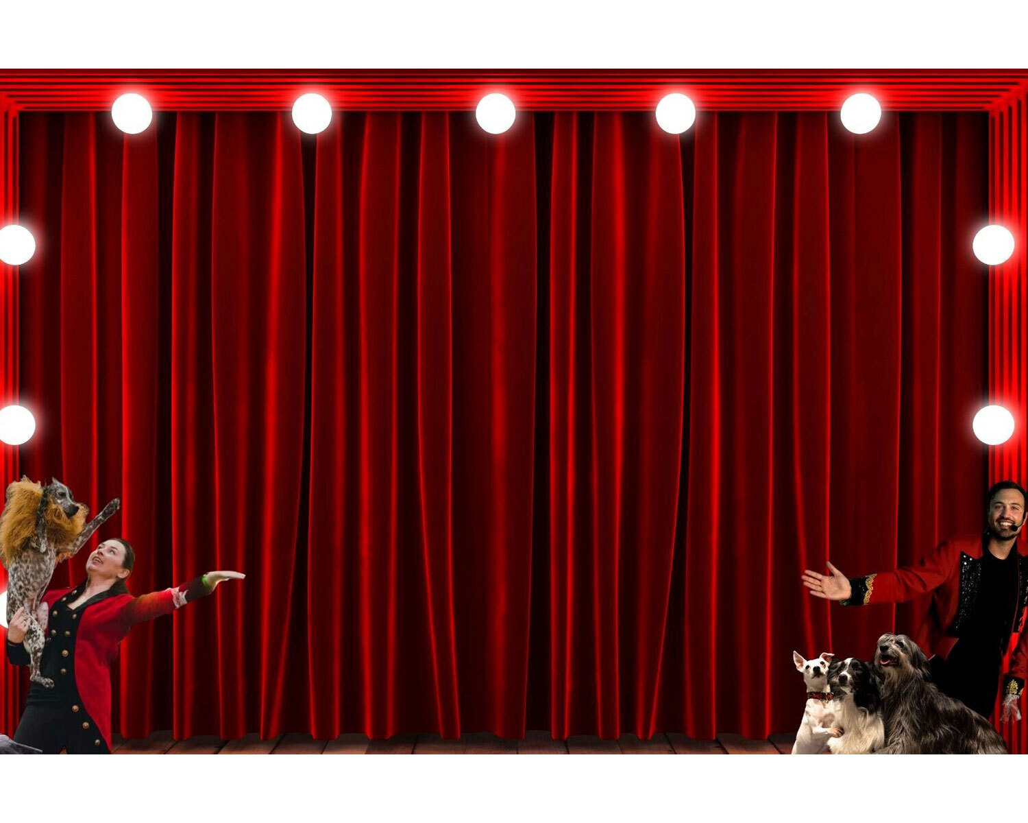 Dogs Do Magic (starring Aaron Matthews)