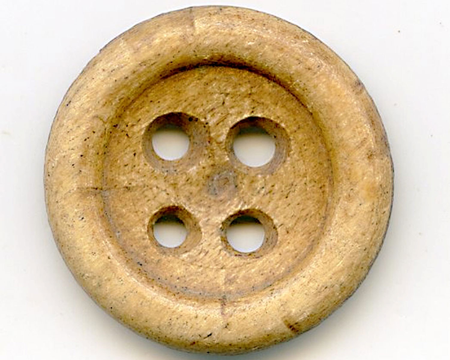 Bone button from the 19th century.