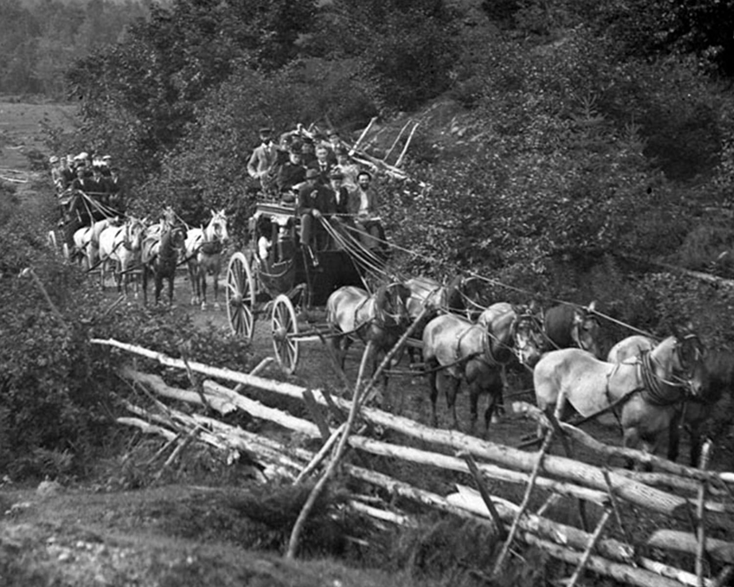 Stagecoaches (Photo: Norman Denley/Library and Archives Canada, PA-066580)