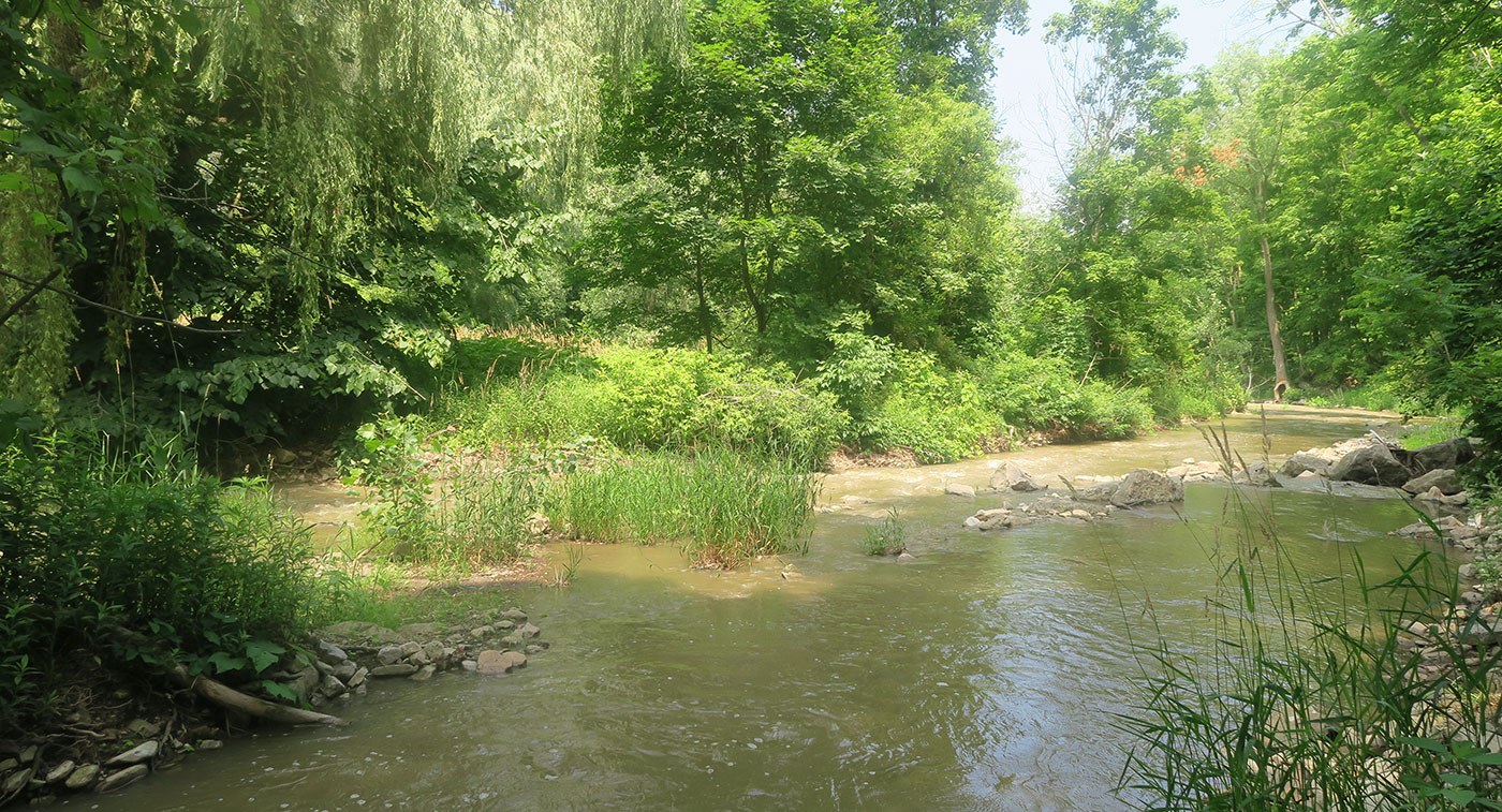 Ellis Property, near Jordan Station