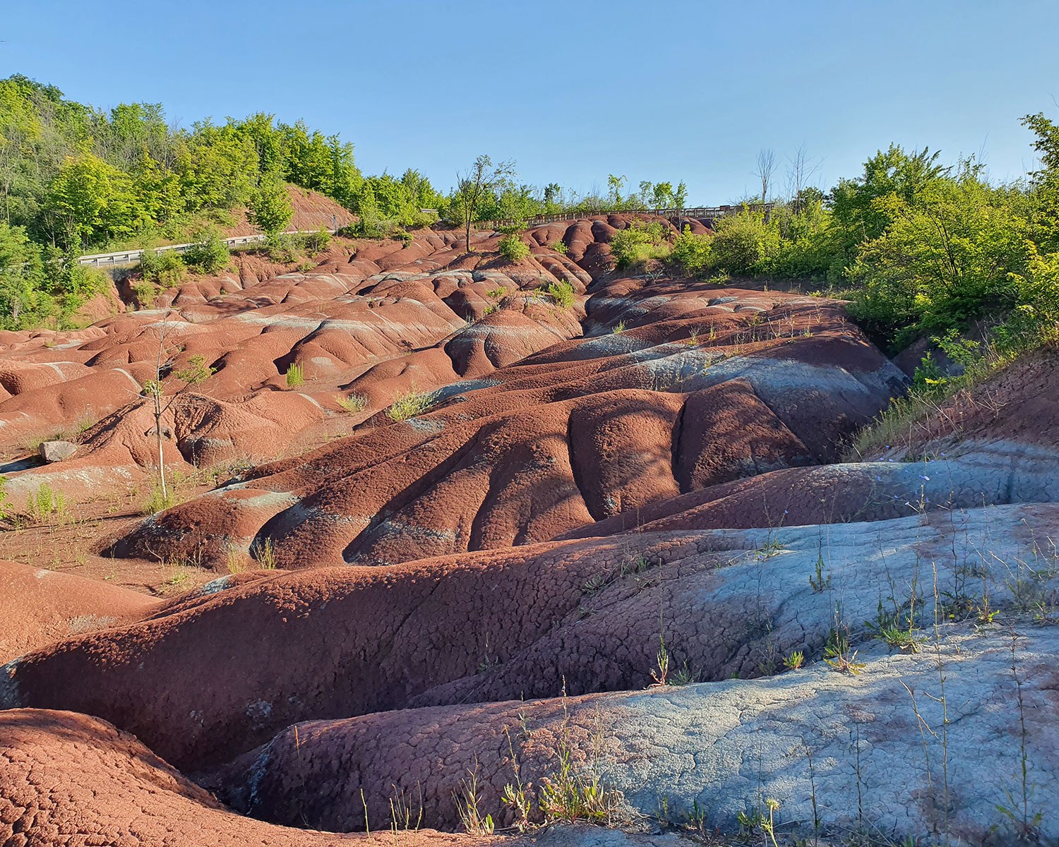 Cheltenham Badlands, Caledon