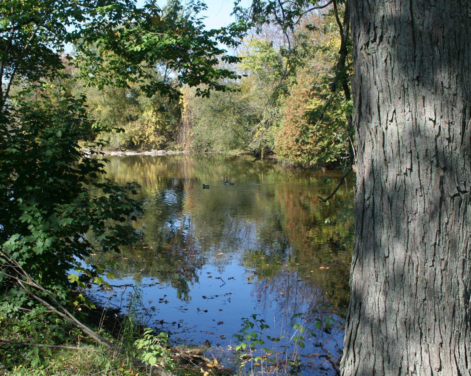 Evolved cultural landscape, Scotsdale Farm, Halton Hills